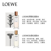 【预专】LOEWE/罗意威001男女士淡香水事后清晨情侣香水正品